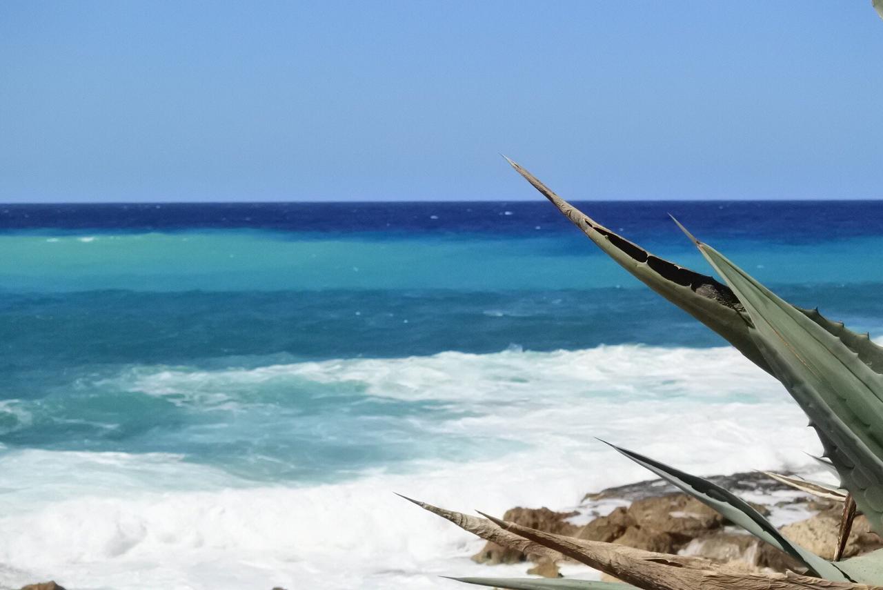 Kissonerga Beach Apartment Paphos Luaran gambar